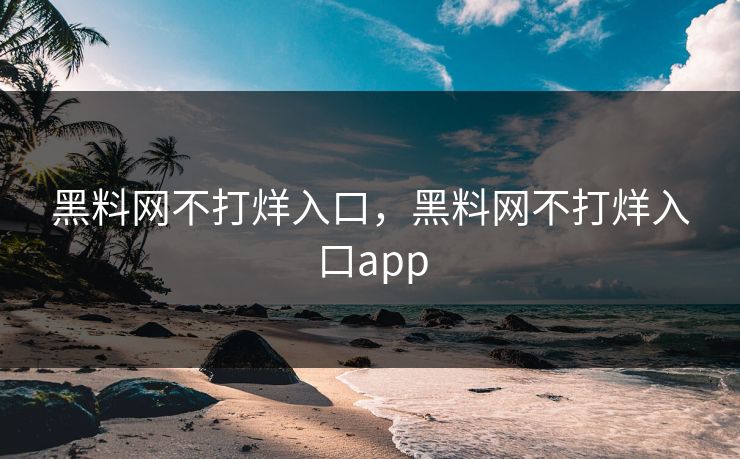 黑料网不打烊入口，黑料网不打烊入口app