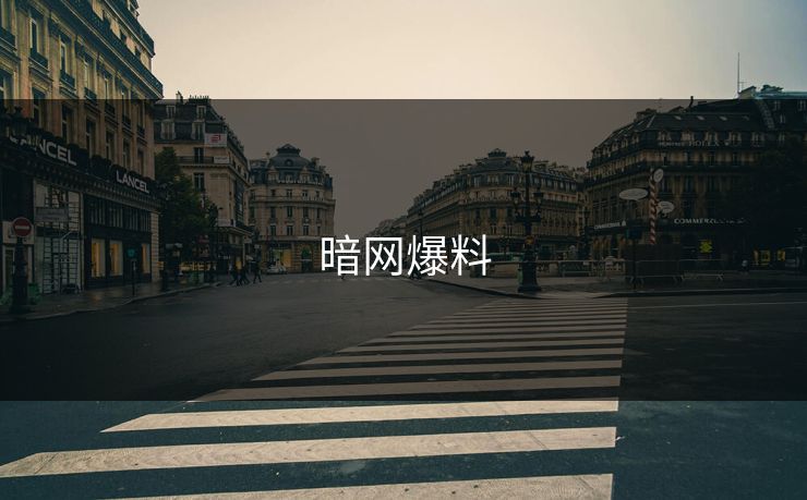 暗网爆料 暗网爆料