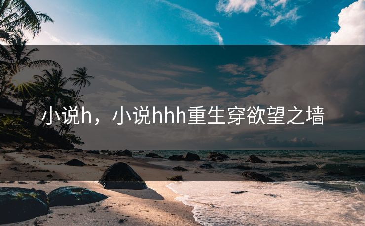 小说h，小说hhh重生穿欲望之墙